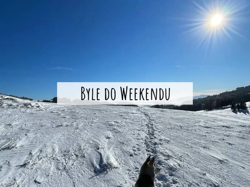 STYCZEŃ 2022 – Byle do weekendu