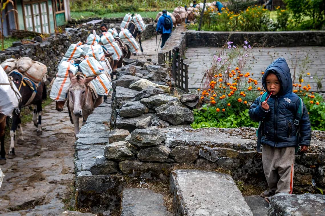 trekking do everest base camp