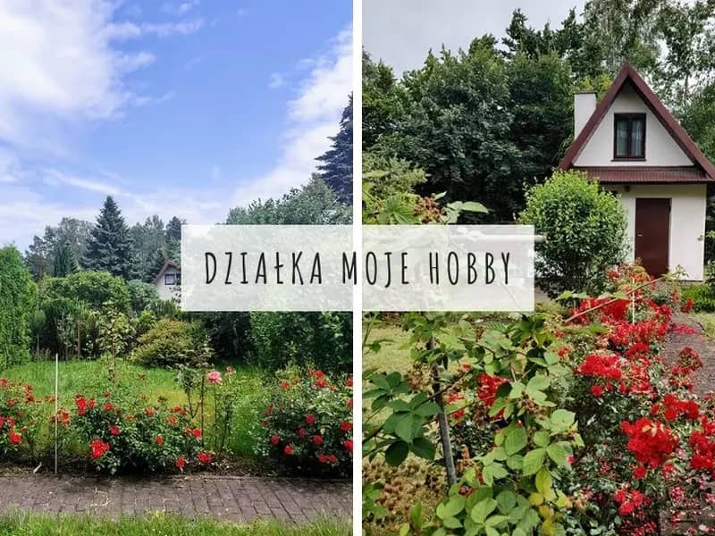 Działka moje hobby