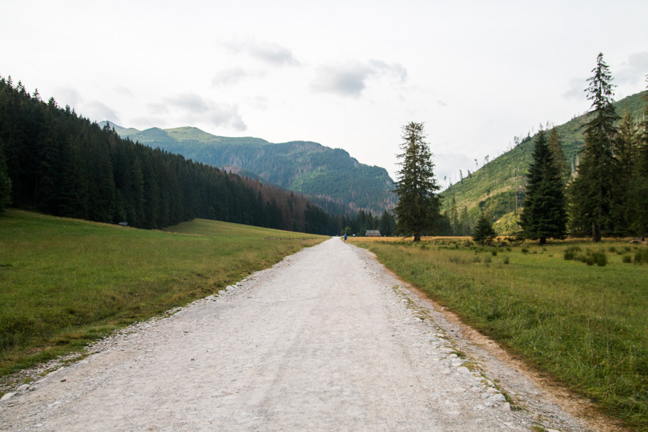 Mikrowyprawy Czerwone Wierchy