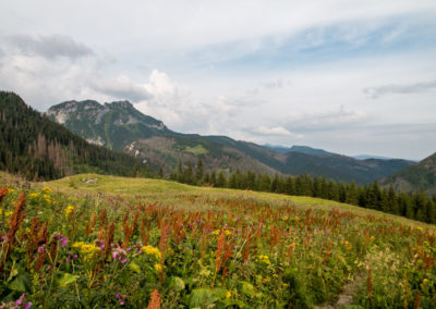 Mikrowyprawy Czerwone Wierchy
