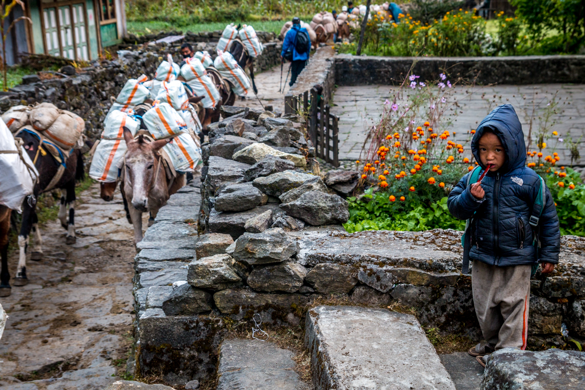 trekking do everest base camp