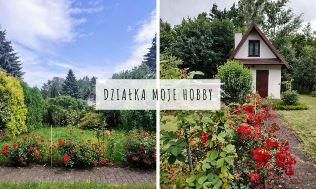 Działka moje hobby