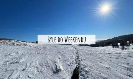 STYCZEŃ 2022 – Byle do weekendu