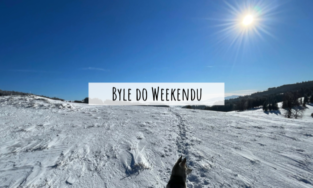 STYCZEŃ 2022 – Byle do weekendu